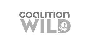 Coalition Wild
